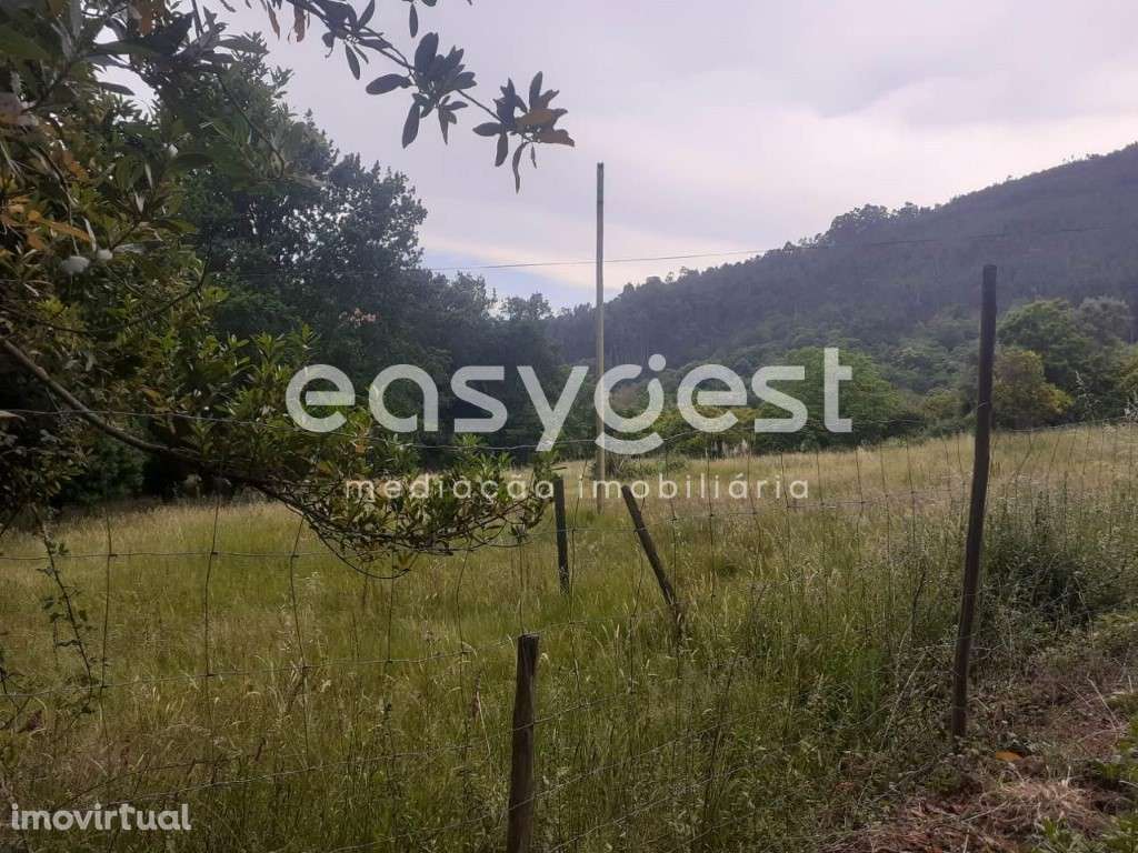 Fantástico Terreno com, localizado na freguesia de Castelões - Grande imagem: 2/17