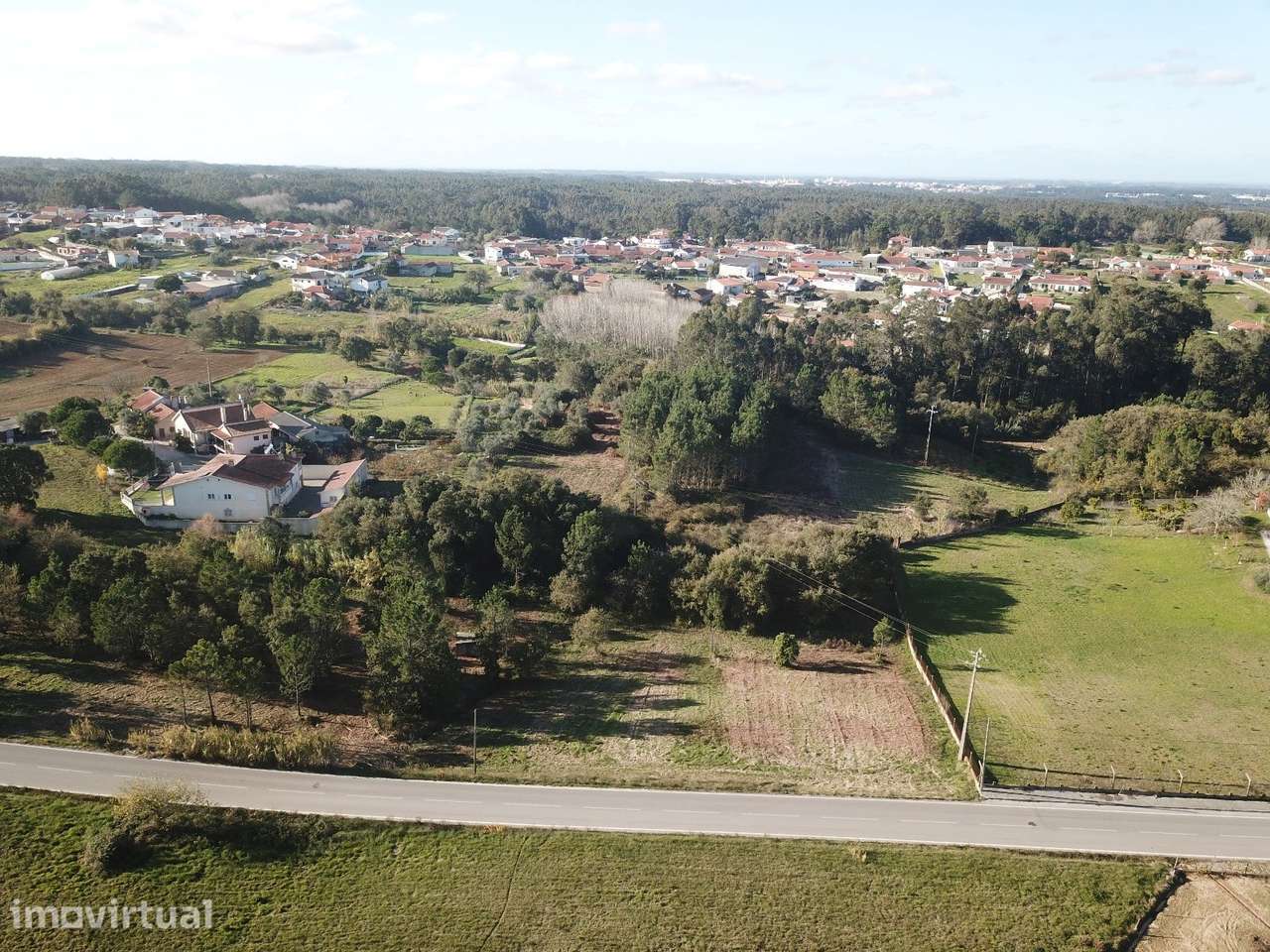 TERRENO COM POTENCIAL EMPRESARIAL EM CASCARIA, MACEIRA - Grande imagem: 4/24