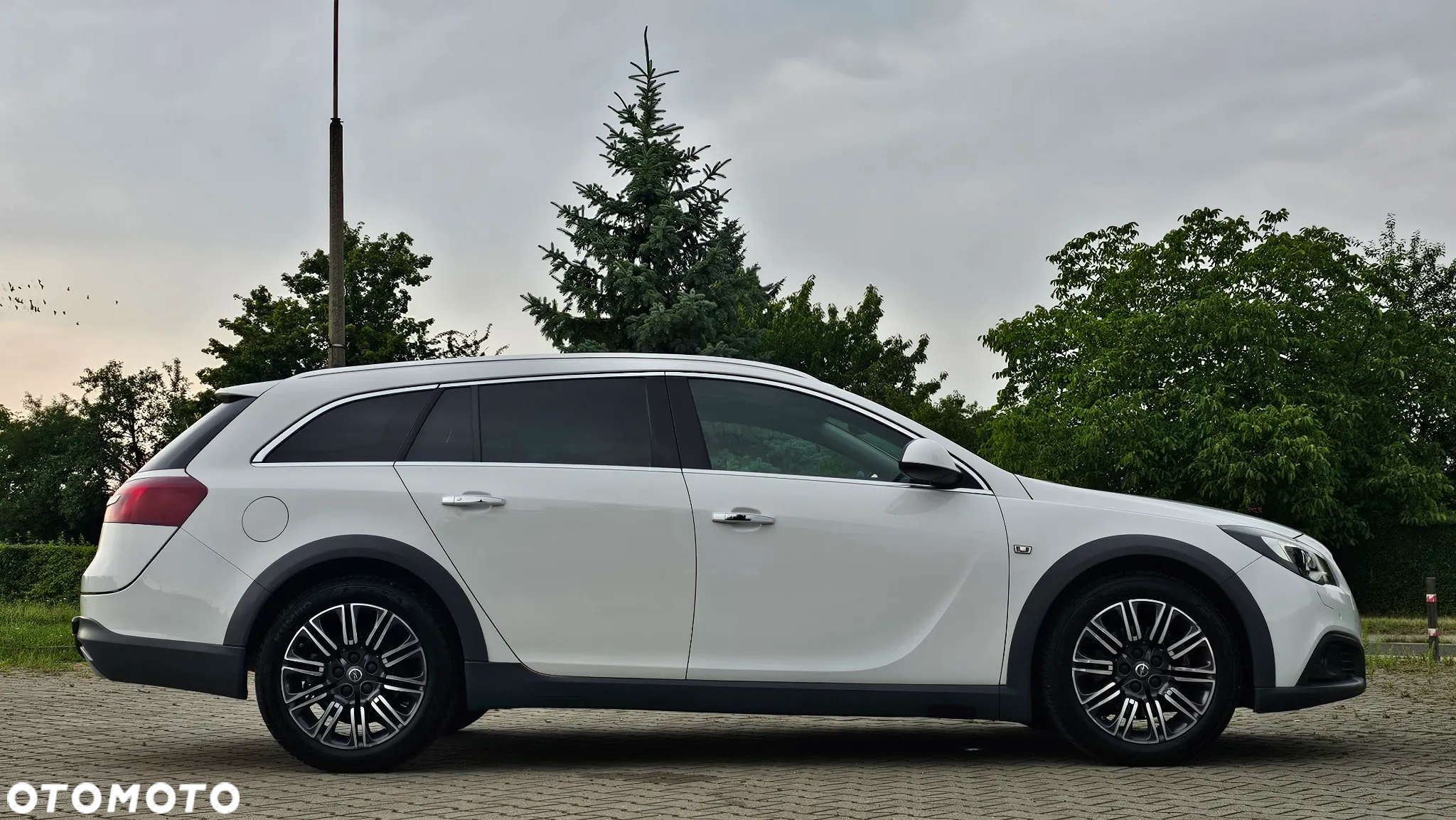 Opel Insignia 2.0 CDTI 4x4 Country Tourer ecoFLEX - 6