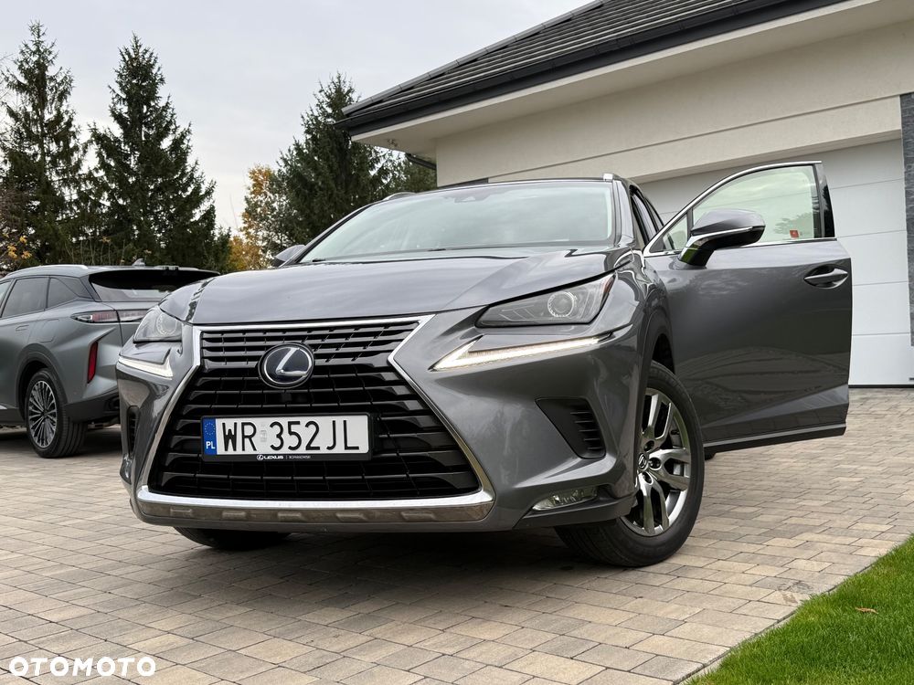 Lexus NX - 5