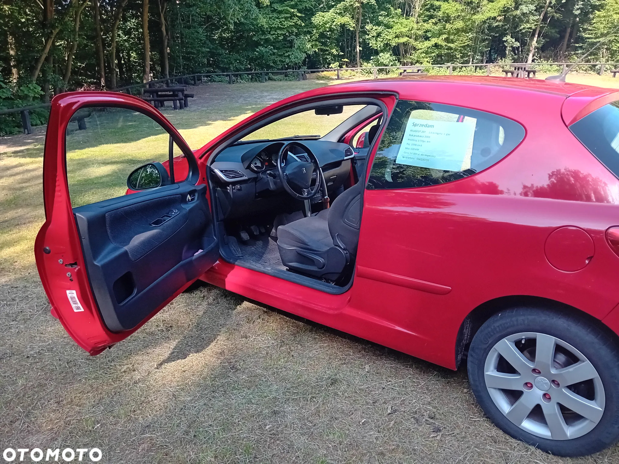 Peugeot 207 - 10