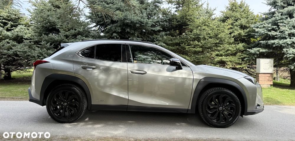 Lexus UX 250h GPF F Sport Design 2WD - 6