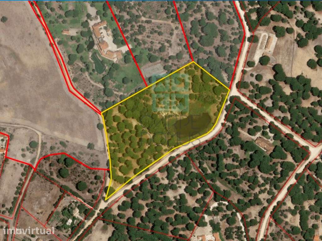 Lote de Terreno de 33.300m2, com lagoa, na Mata do Duque 1, Santo E... - Grande imagem: 3/36
