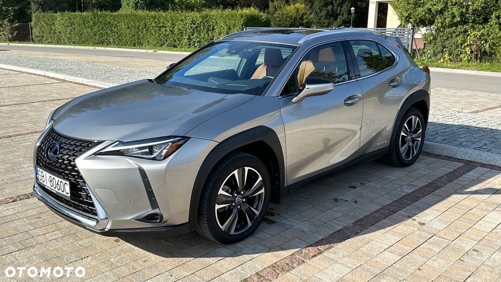 Lexus UX 250h GPF Prestige AWD - 12