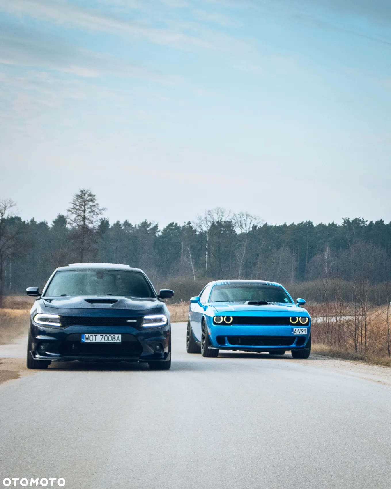 Dodge Challenger Automatik R/T Plus Shaker - 35