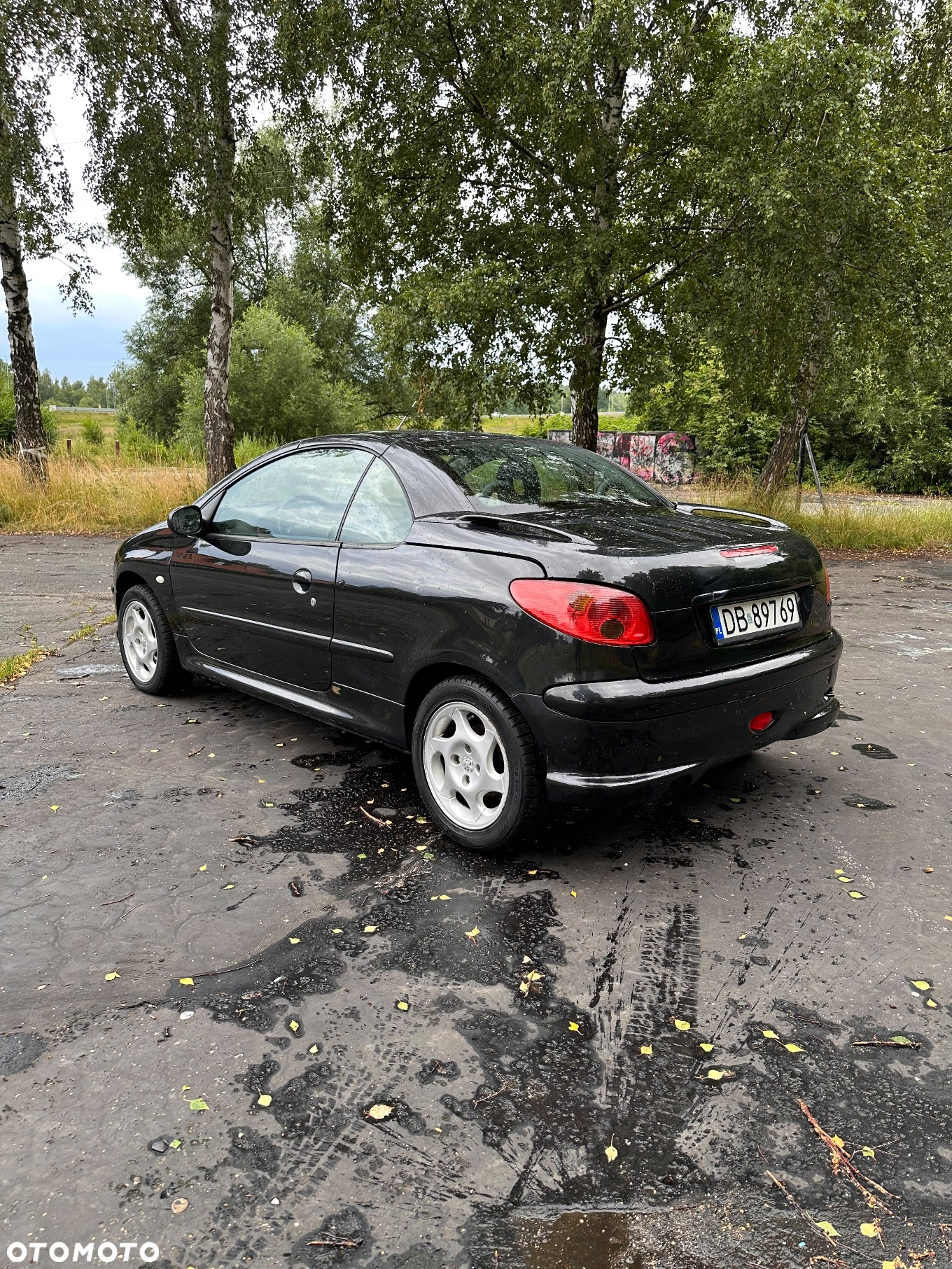Peugeot 206 CC - 4