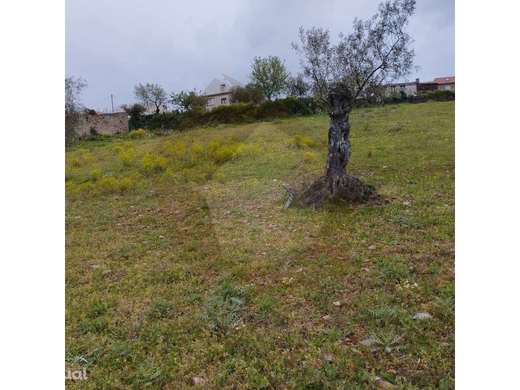 Terreno - Mogadouro - Grande imagem: 3/12
