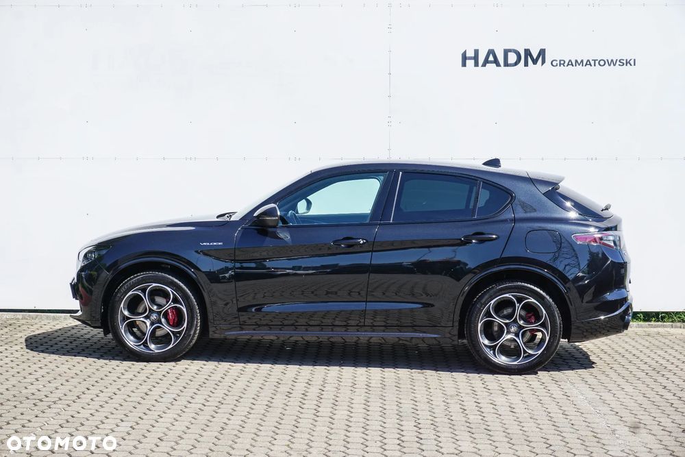 Alfa Romeo Stelvio 2.0 Turbo Veloce Q4 - 5