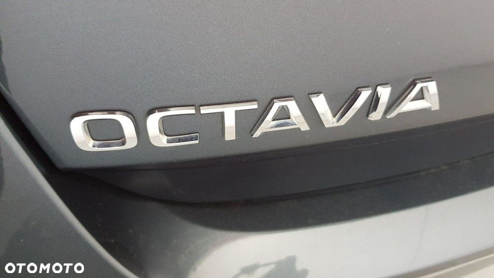 Skoda Octavia - 12