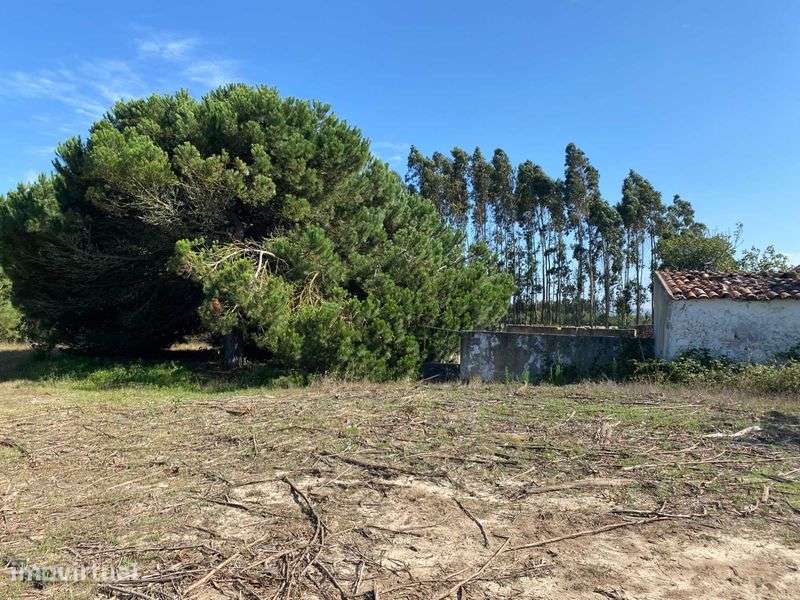 Terreno na Avenida do Frade, 21 - Silveira - Grande imagem: 3/8