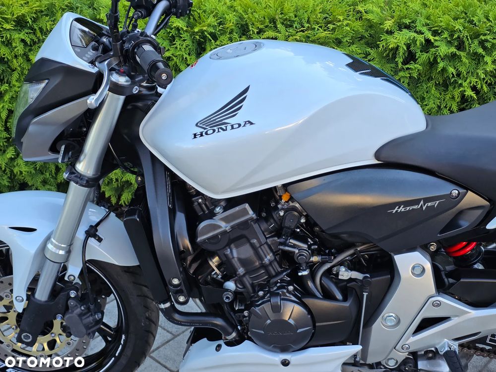 Honda Hornet - 24