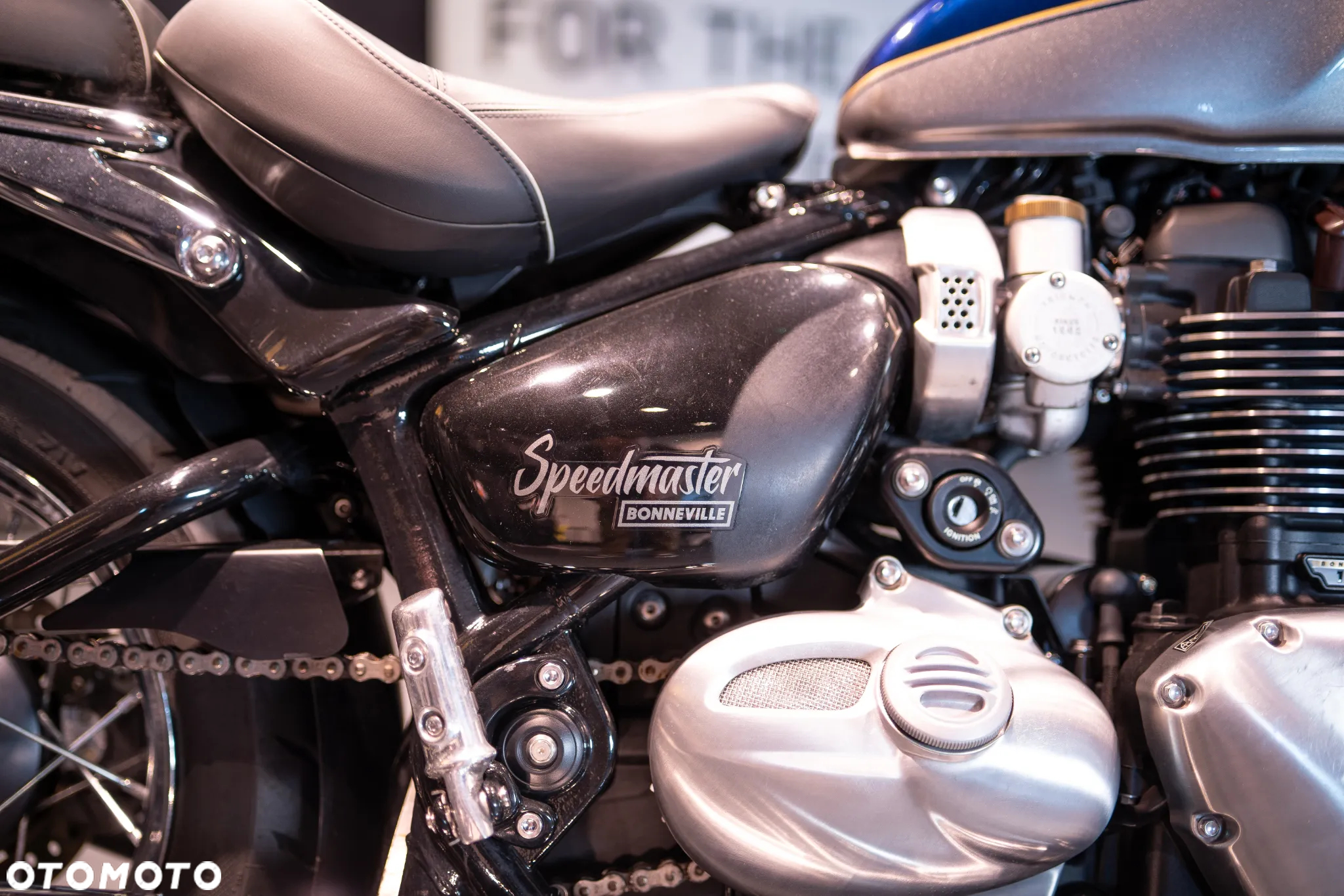 Triumph Speedmaster - 17