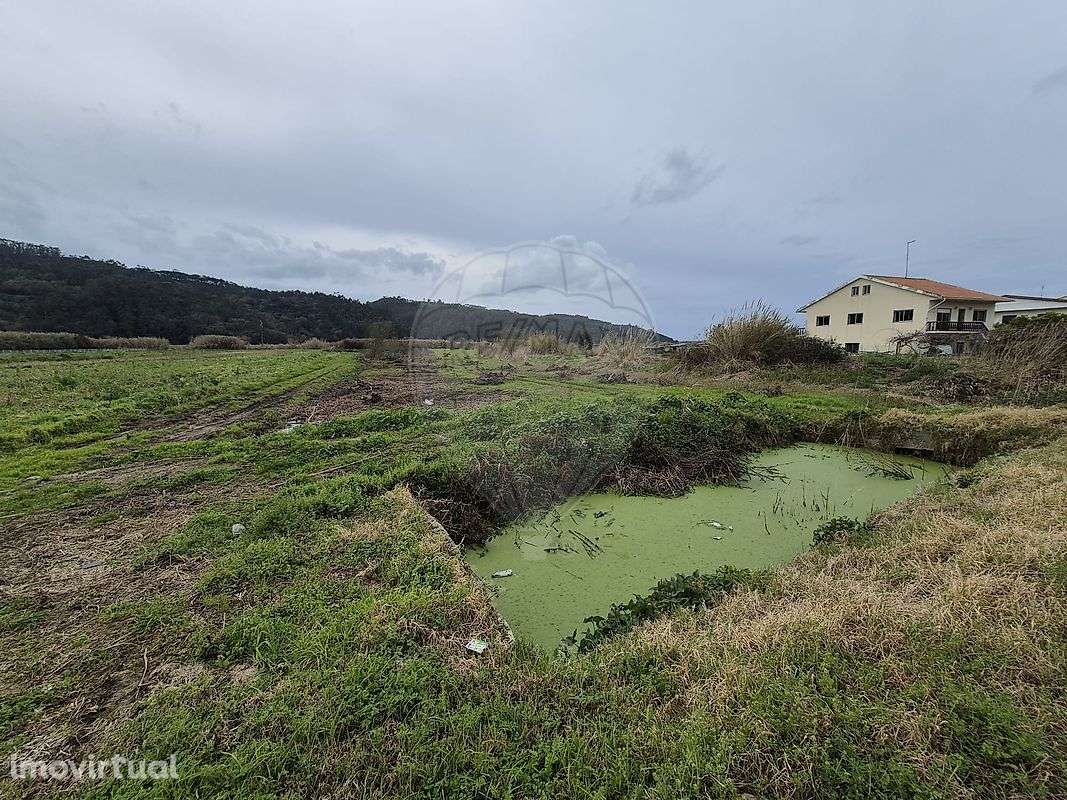 Terreno  para venda - Grande imagem: 3/5