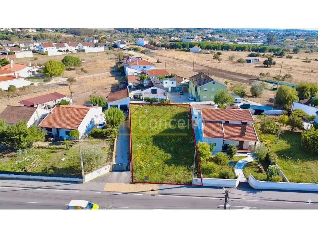 Lote terreno p/ construção moradia térrea - TORRES NOVAS - Grande imagem: 2/12