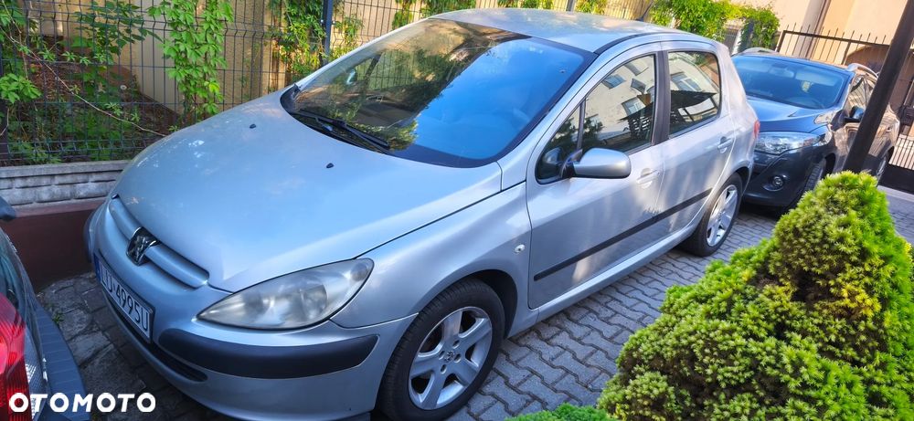Peugeot 307 110 Grand Filou - 8