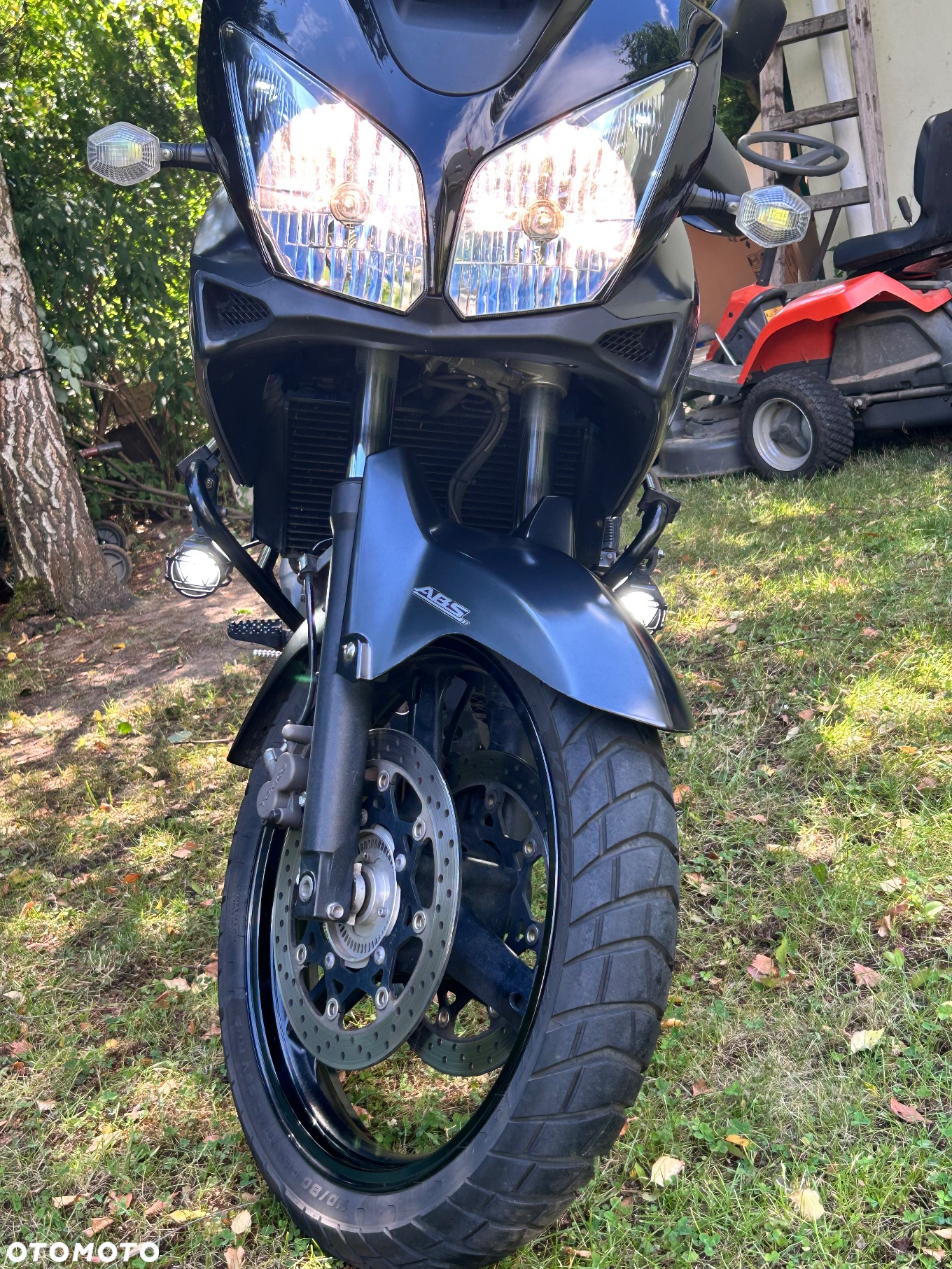 Suzuki DL - 12