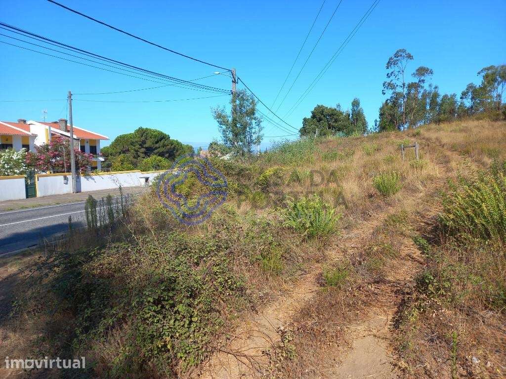 Terreno florestal com 16.000 m2 situado próximo da Barragem de Castelo - Grande imagem: 2/26