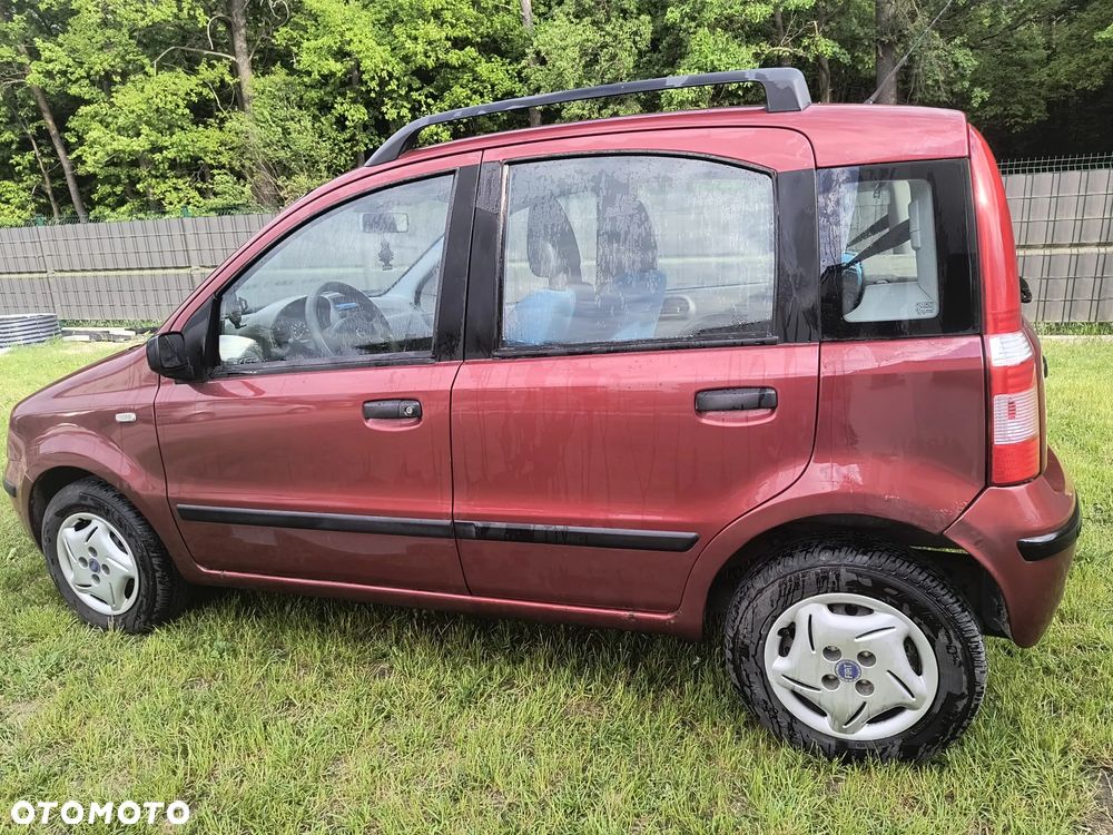 Fiat Panda 1.2 Dynamic - 1