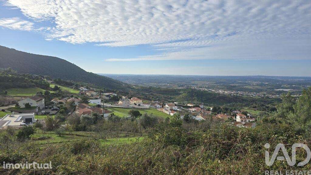 Terreno para construção em Lamas e Cercal - Grande imagem: 5/39