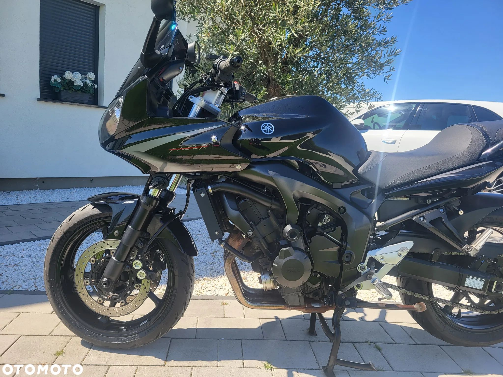 Yamaha FZ6 - 1
