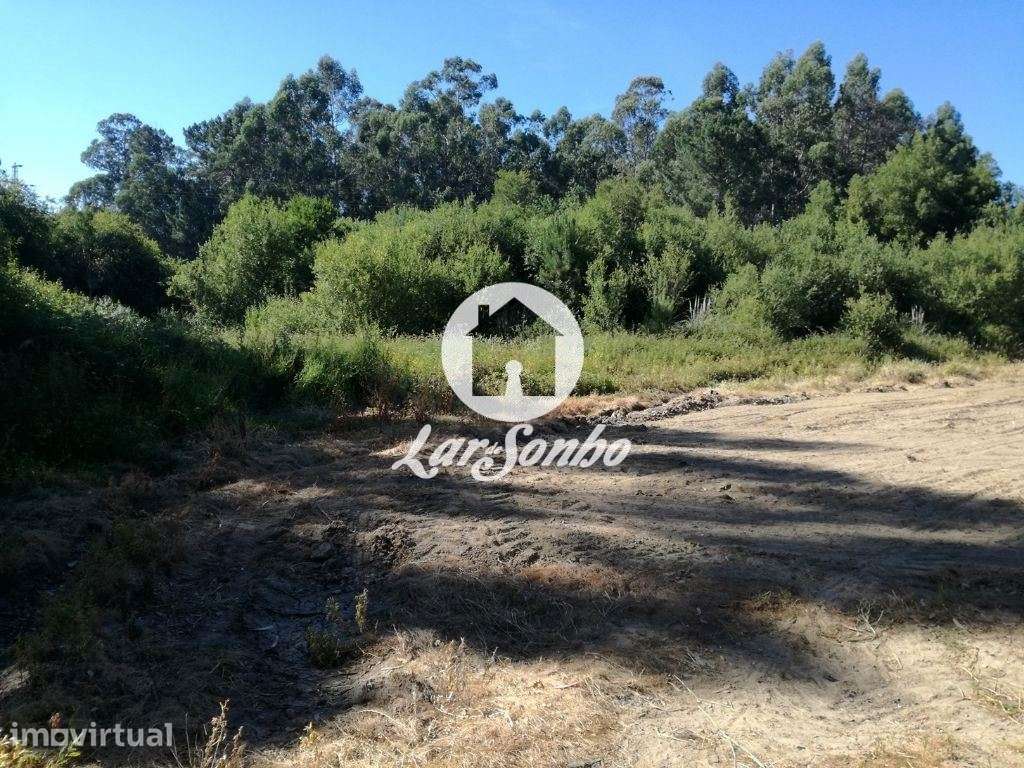 Loteamento para construção de 23.000€ em Gião - Vila do Conde - Grande imagem: 5/7