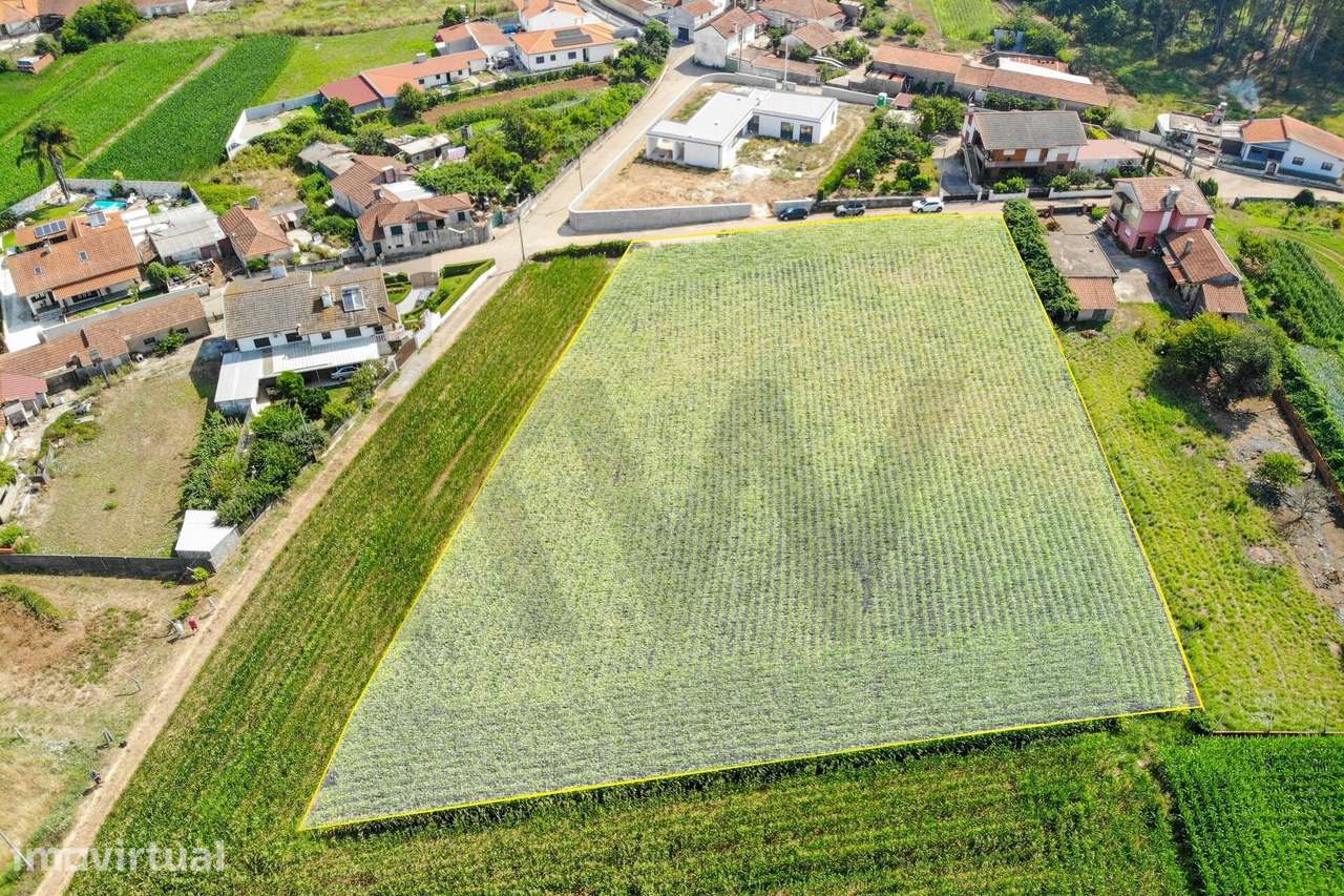 Terreno Estratégico Próximo da A1 e A29 - Grande imagem: 5/23