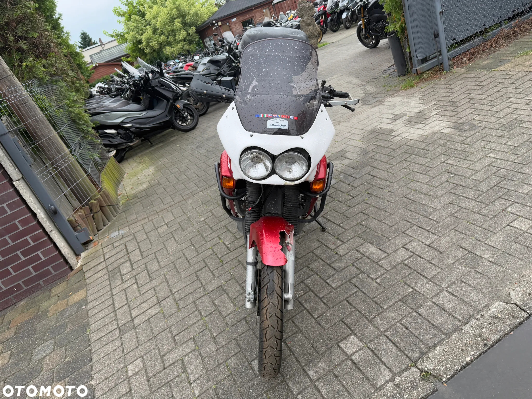 Honda XL