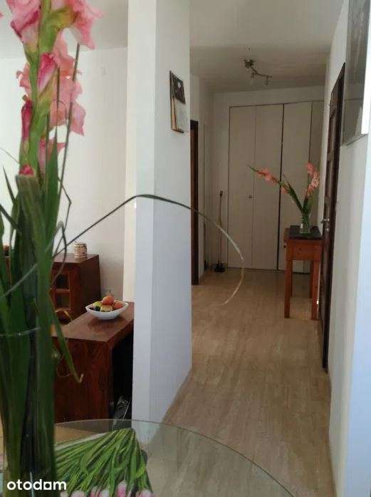 2 pokoje, Kacza 55 m2