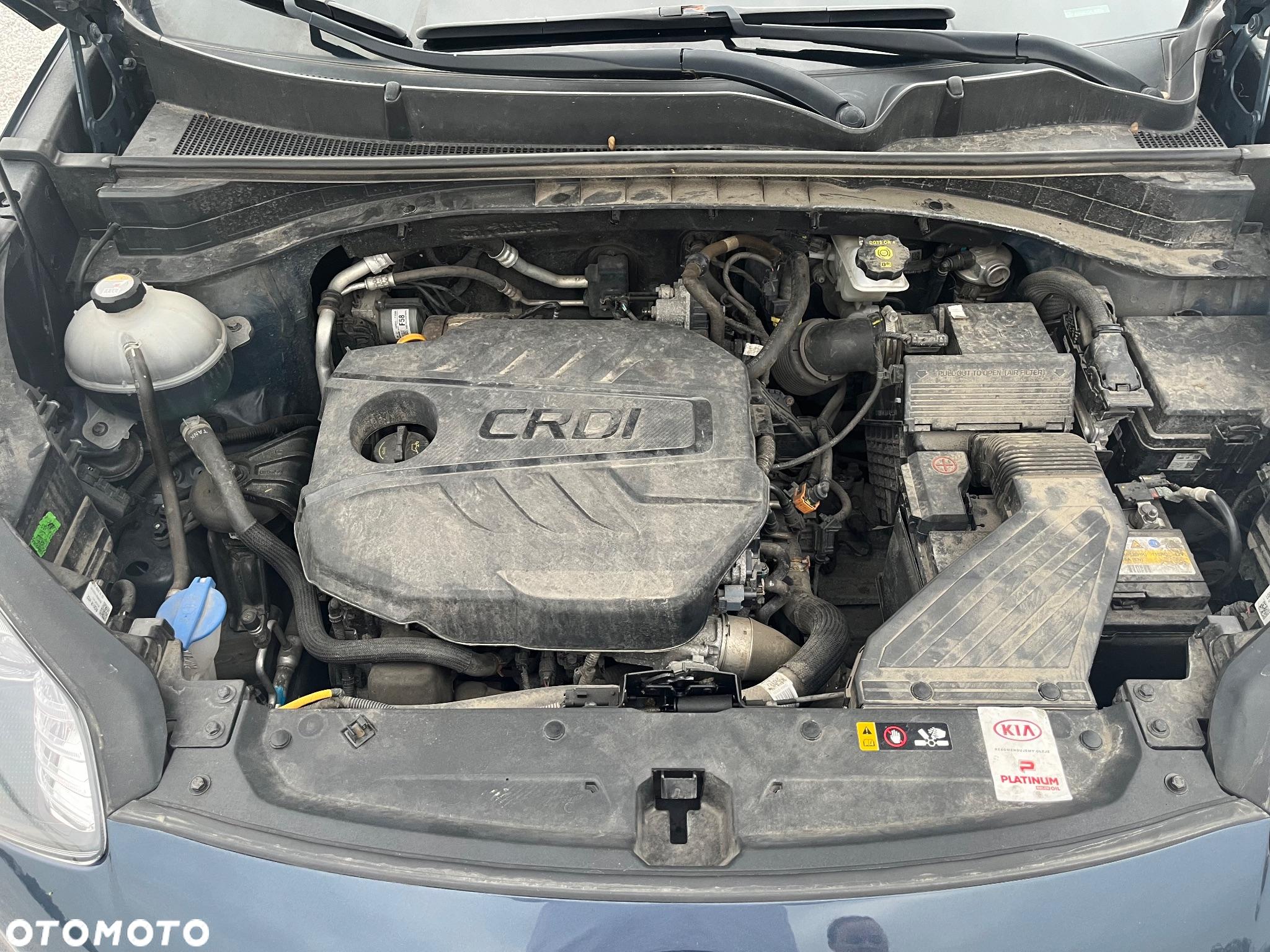 Kia Sportage 1.6 CRDI M 4WD - 35