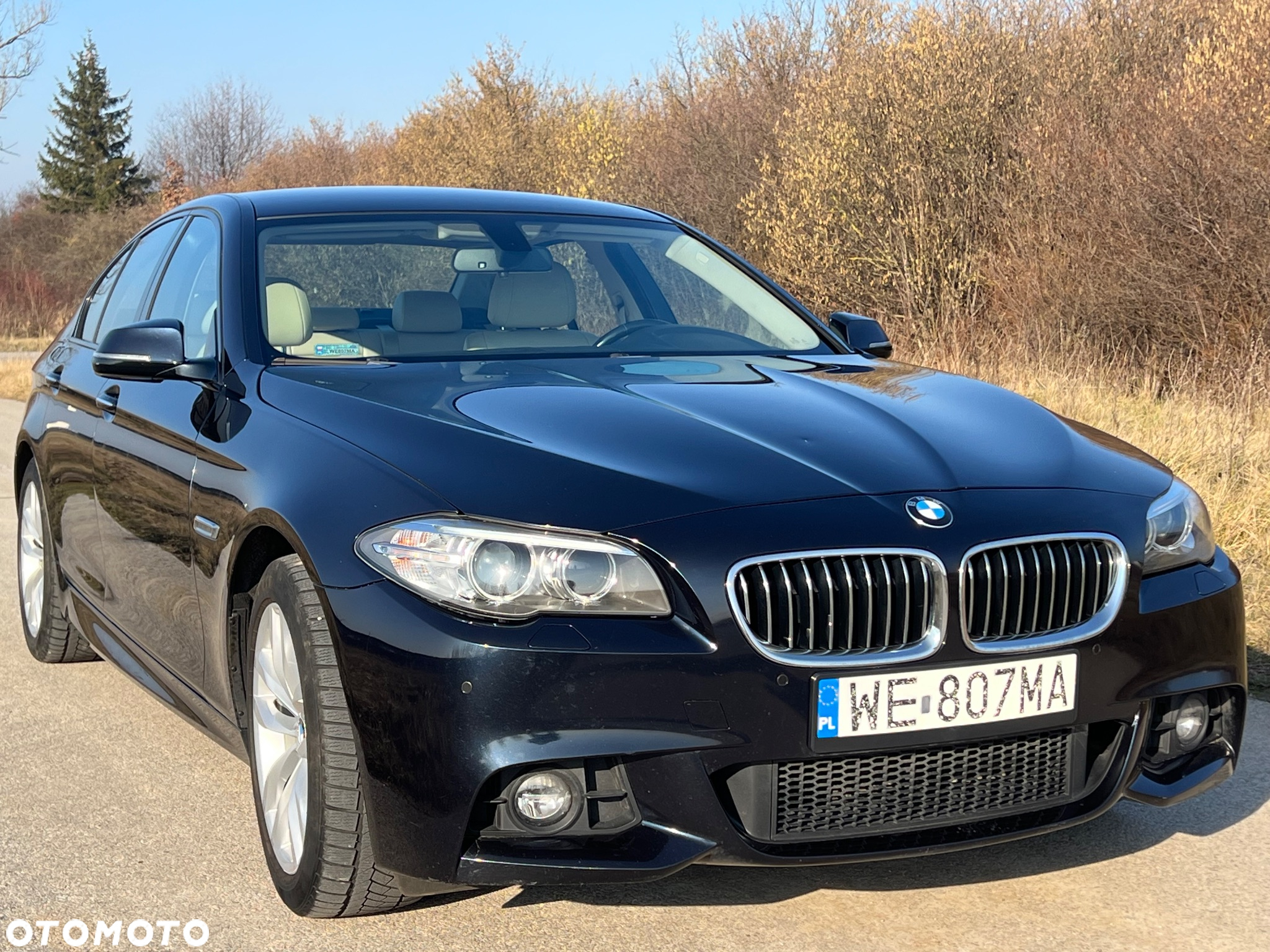 BMW Seria 5 520d xDrive - 5