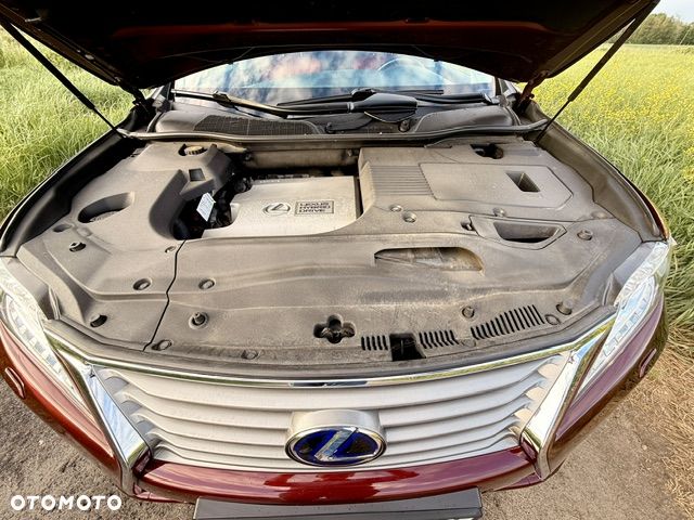 Lexus RX - 24
