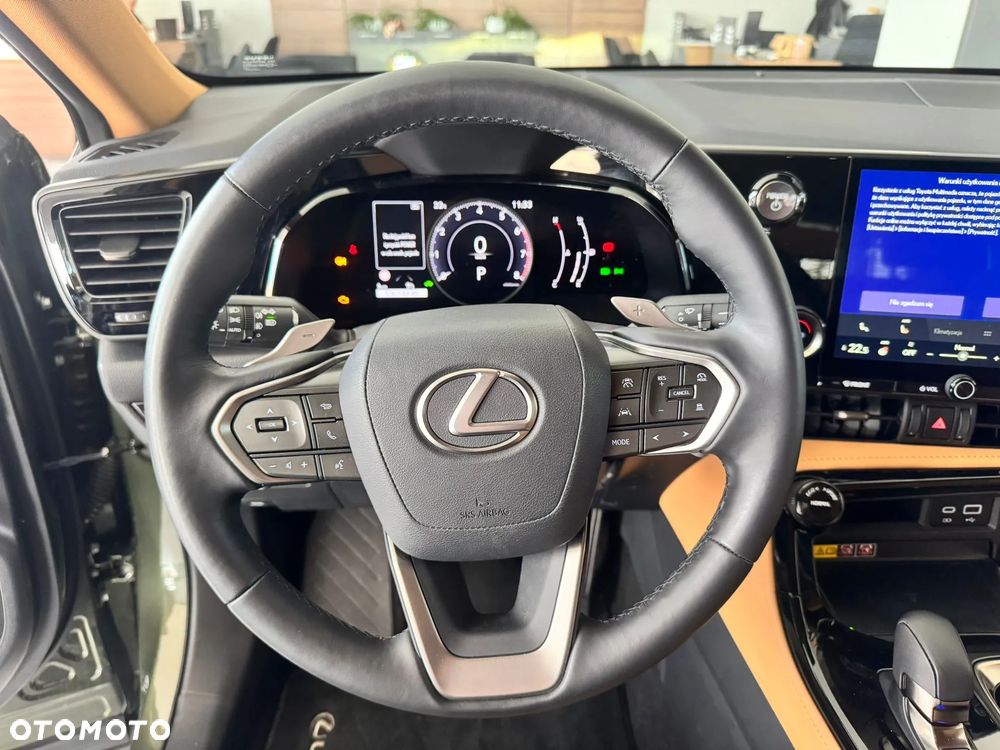 Lexus NX - 12