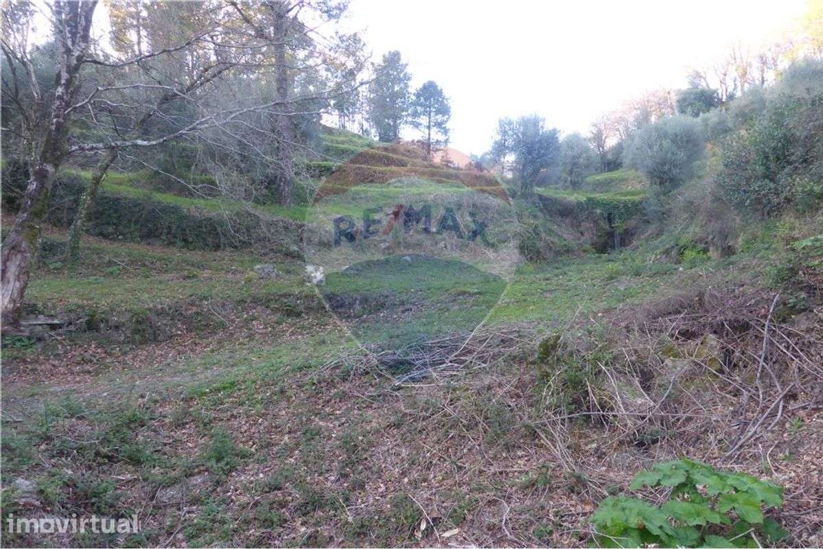 Terreno com 22.600m2 em Vilar de Figos - Grande imagem: 3/3