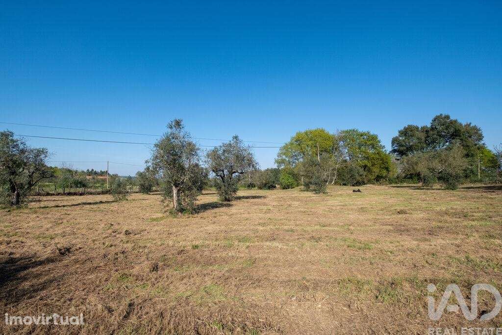 Terreno em Ovoa e Vimieiro - Grande imagem: 4/15