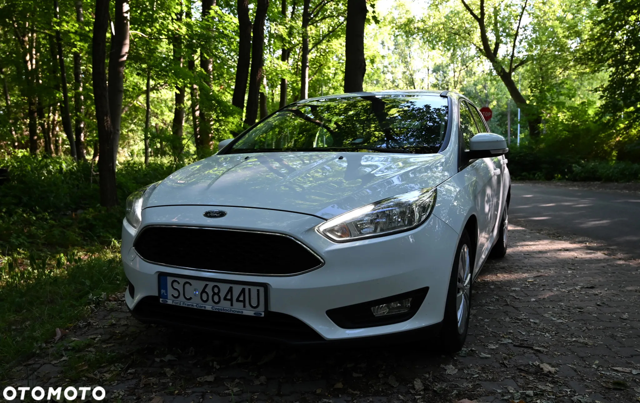 Ford Focus - 8