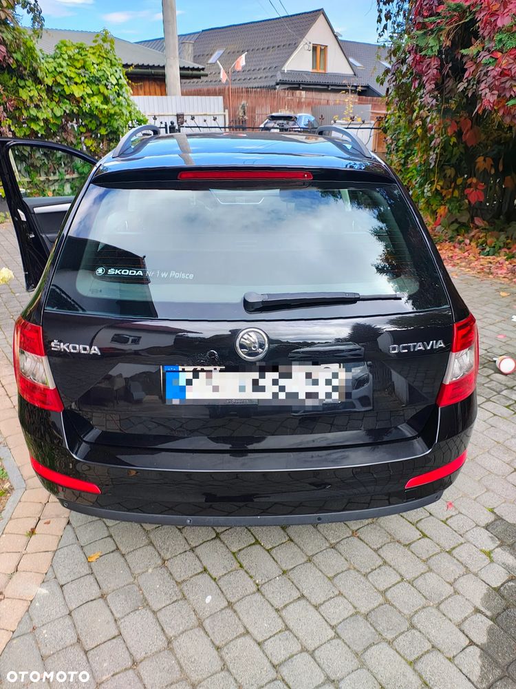 Skoda Octavia - 19