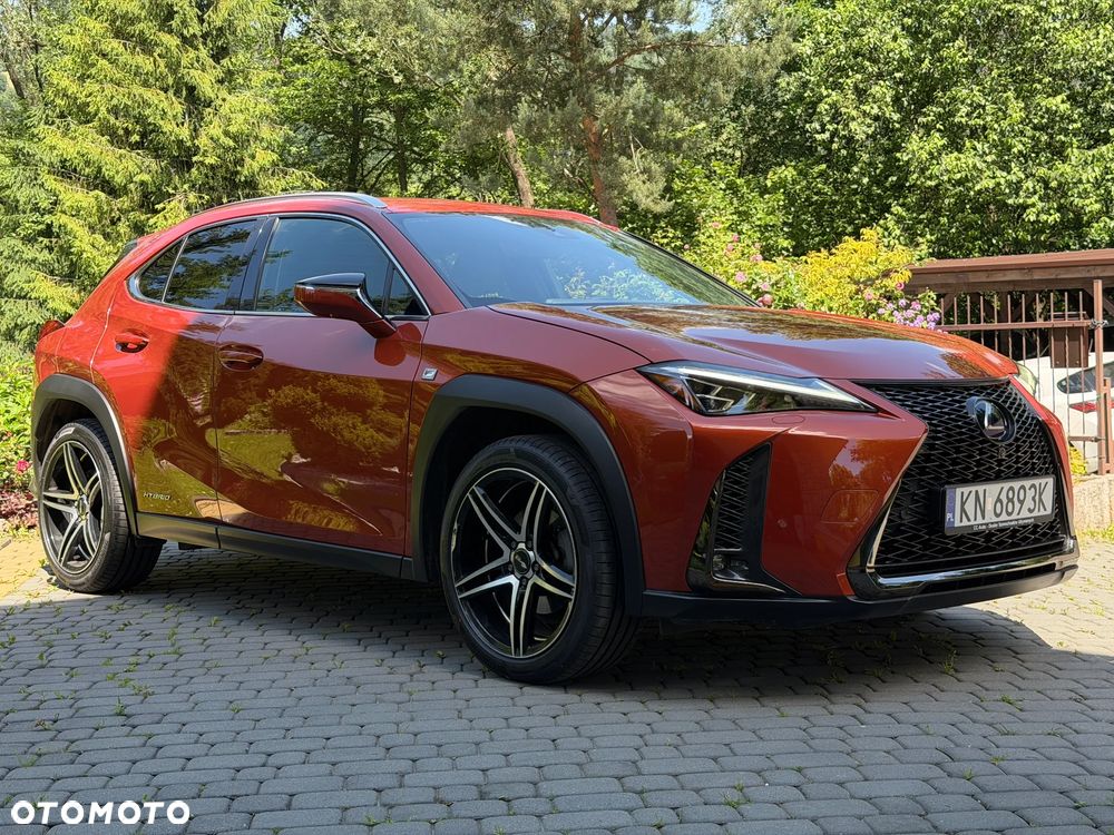 Lexus UX 250h GPF F Sport AWD - 8