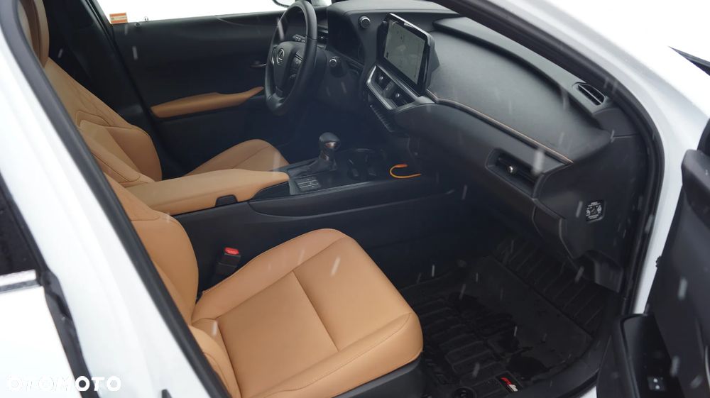 Lexus UX 250h GPF F Sport Design+ 2WD - 9