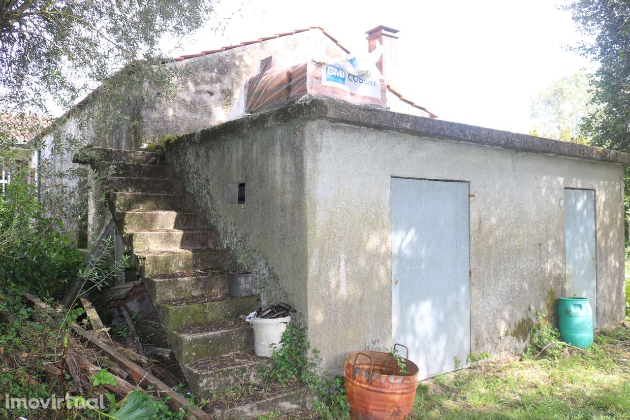 Propriedade com 5.200 m2 e moradia para restauro em V. Verde Braga. - Grande imagem: 3/18