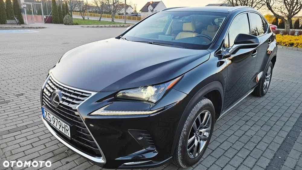 Lexus NX 300 Comfort AWD - 16