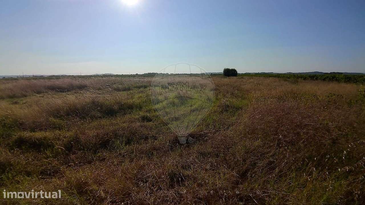 Terreno  para venda - Grande imagem: 5/13