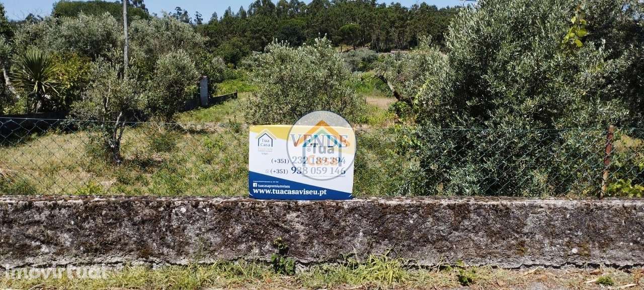 Terreno Rústico para Construção em Tondela - Grande imagem: 2/19