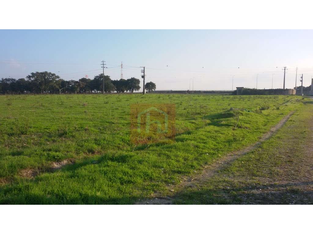 Terreno Agrícola com 21.430 m2 em Benavente - Grande imagem: 2/10