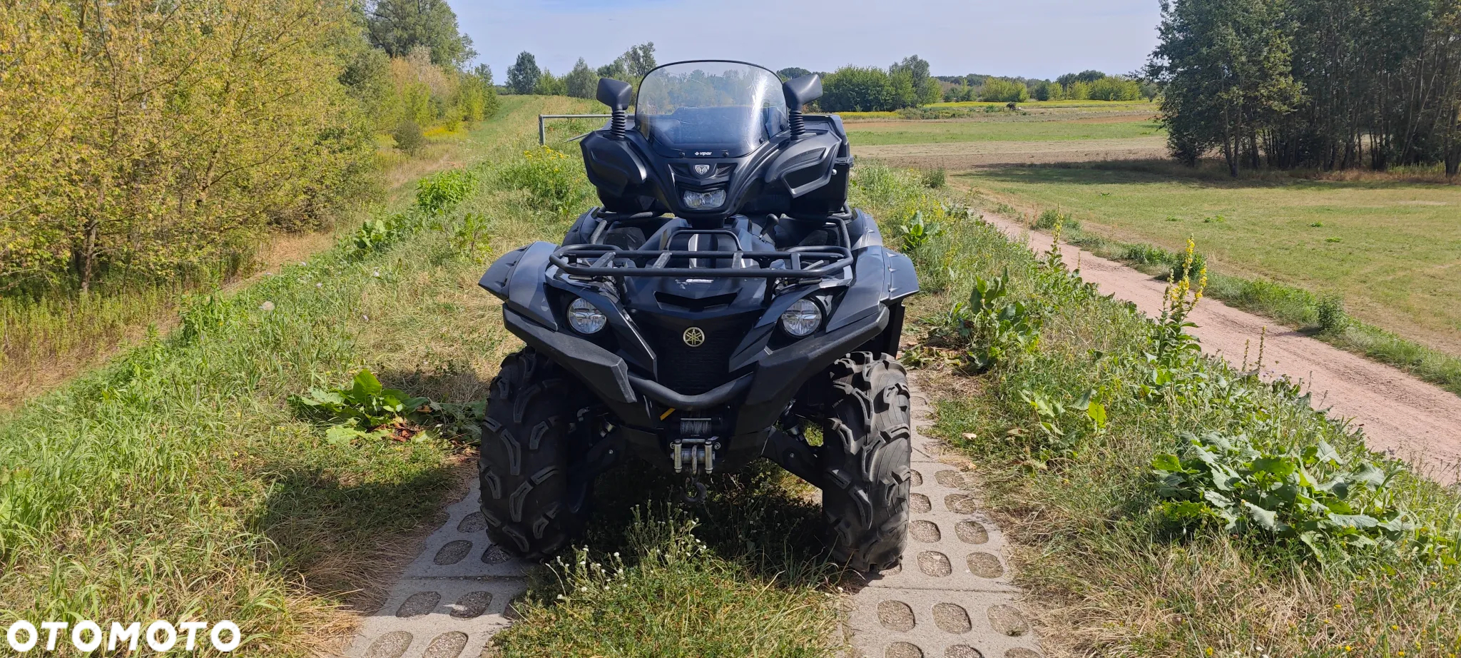 Yamaha Grizzly