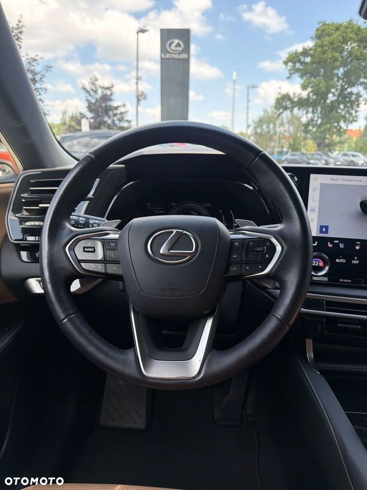 Lexus RX - 13