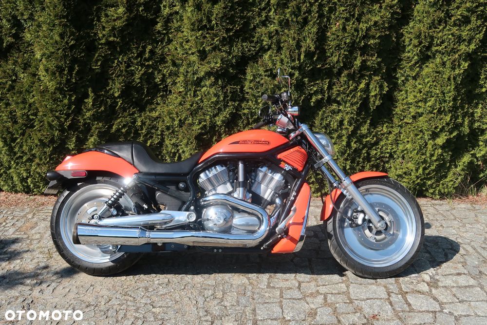 Harley-Davidson V-Rod Night Rod - 12