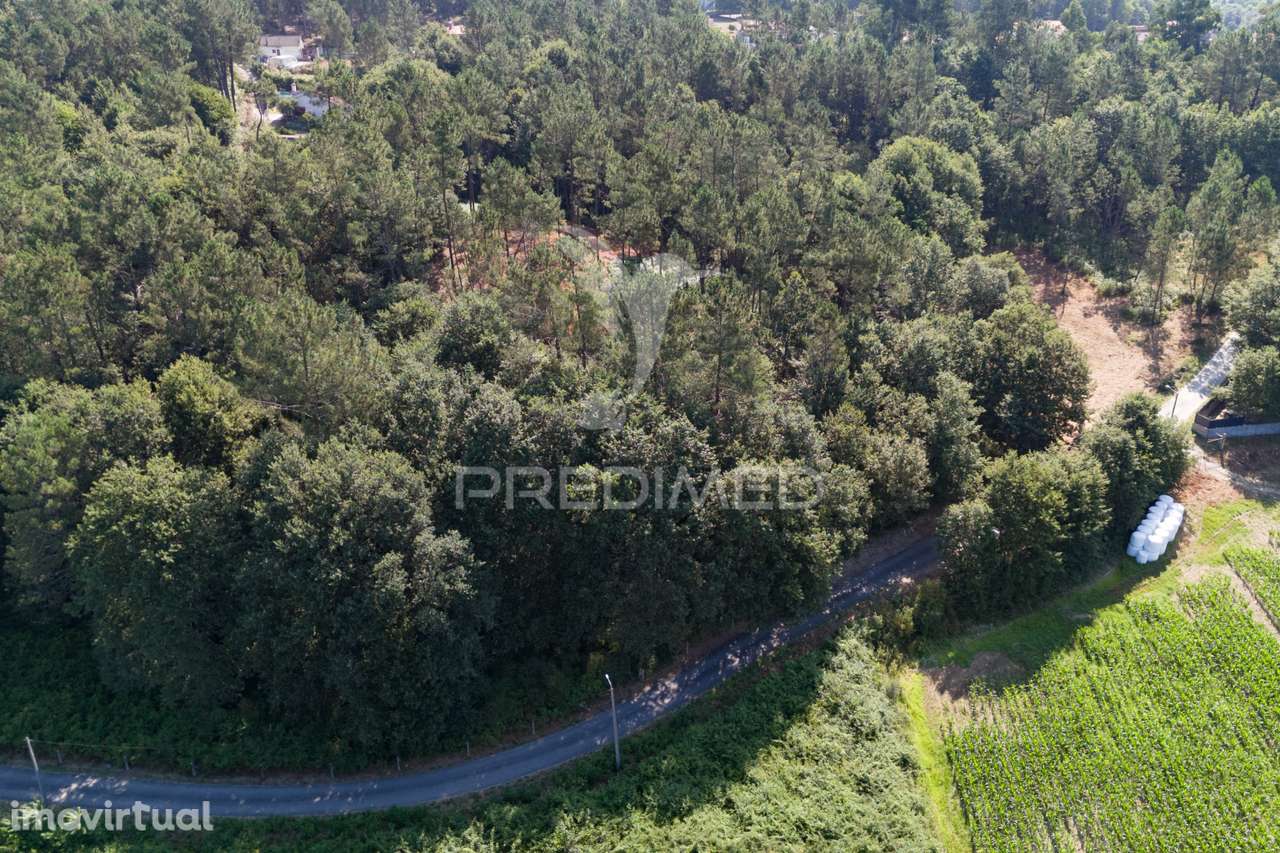 Terreno - Grande imagem: 4/11