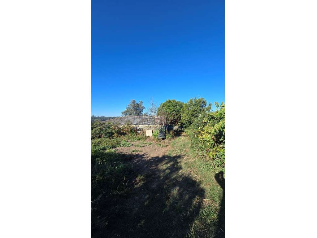 Ruína em Pedra com 4.000 m² de Terreno - Parada, Vila do Conde - Grande imagem: 5/16