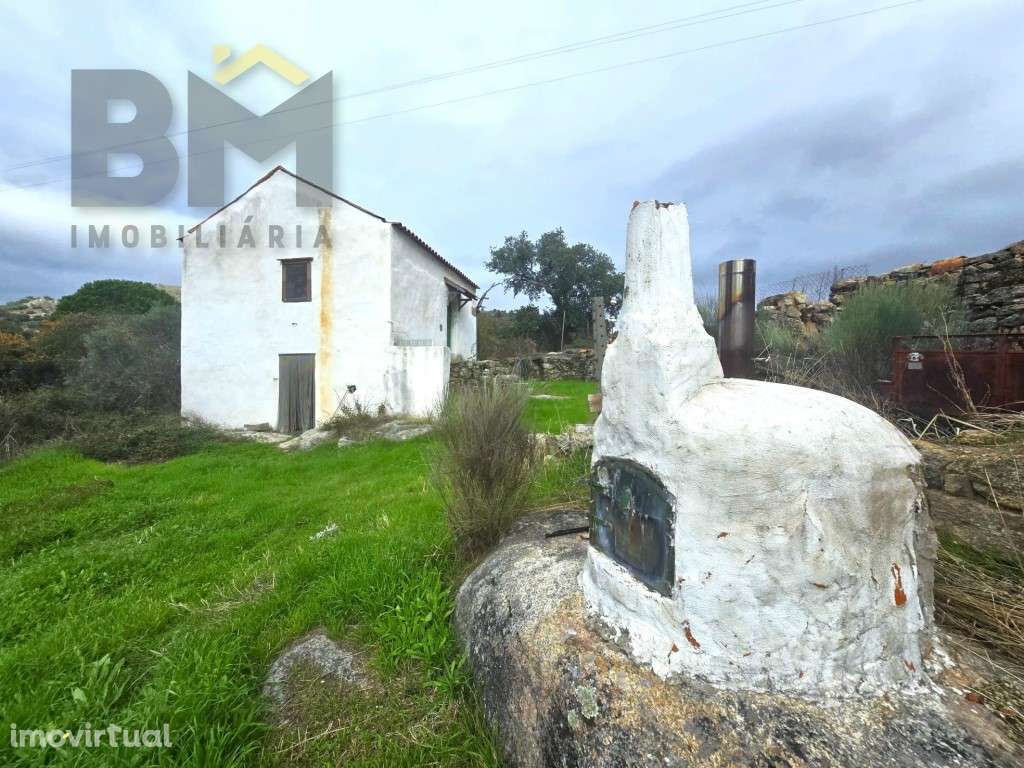 Quinta perto de Monsanto - Grande imagem: 2/37