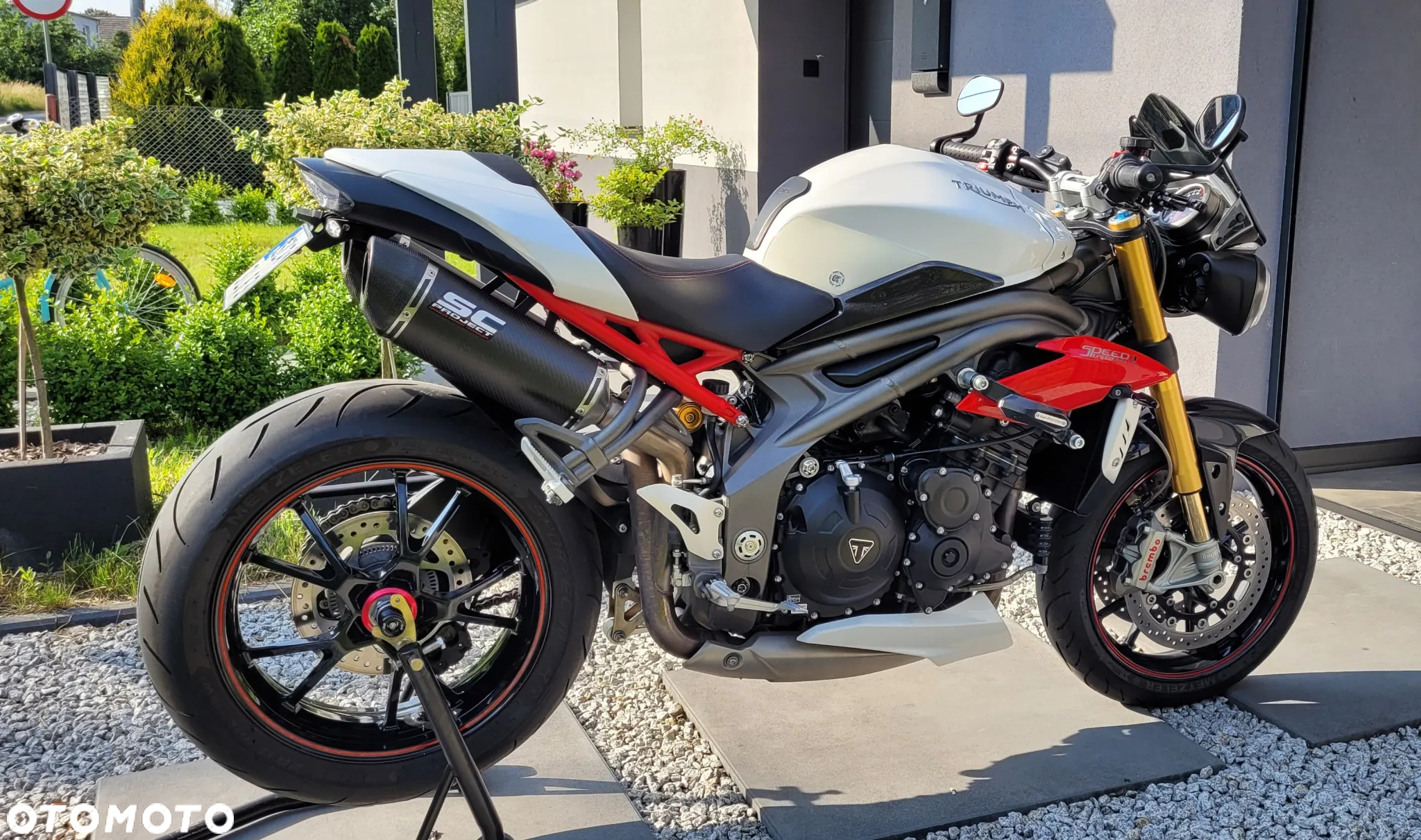 Triumph Speed Triple - 3